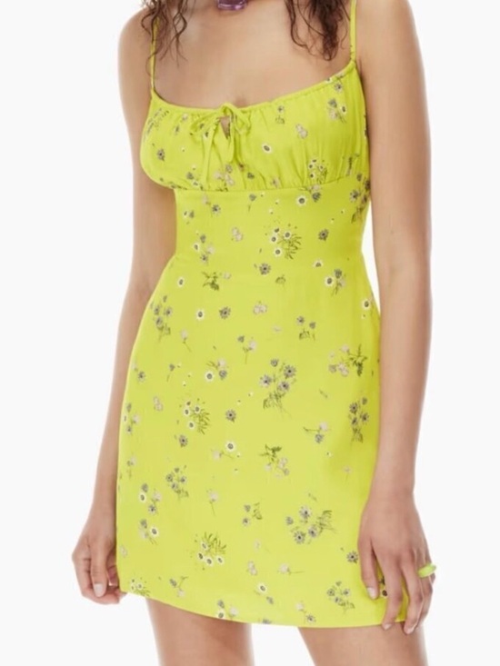 Sunday Best Dresses & Skirts - Aritzia Sunday Best Delilah Smocked Mini Dress Green Floral Size Large